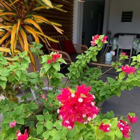 Le Tropical Appartement 1 Ou 2 Chambres Les Anses-d'Arlets Exteriér fotografie