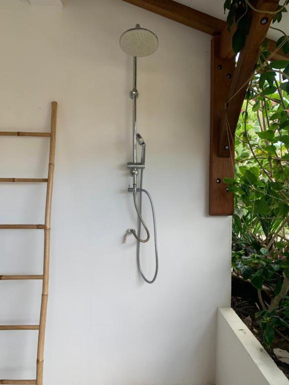 Le Tropical Appartement 1 Ou 2 Chambres Les Anses-d'Arlets Exteriér fotografie